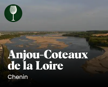 anjou coteaux loire