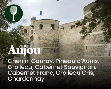anjou