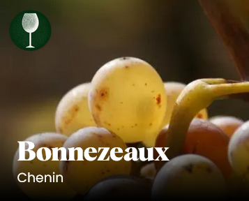 bonnezeaux