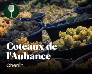 coteaux aubance