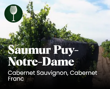 saumur puy notre dame