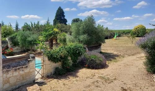 vue de la piscine depuis colibri